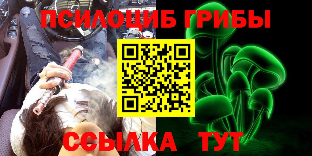 Псилоцибиновые грибы прущие грибы Надым